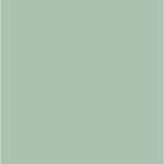 cf 243 (copy)