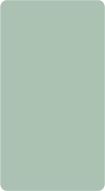 cf 243 (copy)