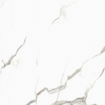 cf 246 (copy)