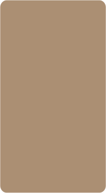 sf 1210 (copy)
