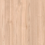 sf 1519 (copy)