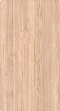 sf 1519 (copy)