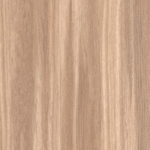 sf 1523 (copy)