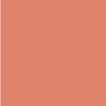 zmt 244 (copy)