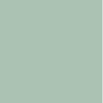 zz 243 (copy)