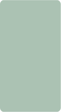 zz 243 (copy)
